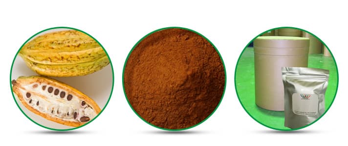 Pure natural cocoa seed extract